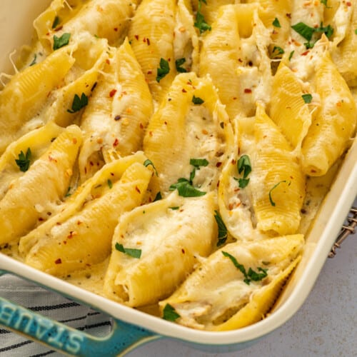 Chicken Alfredo Stuffed Shells - House of Nash Eats