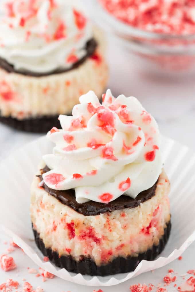Mini White Chocolate Peppermint Cheesecakes - House of Nash Eats