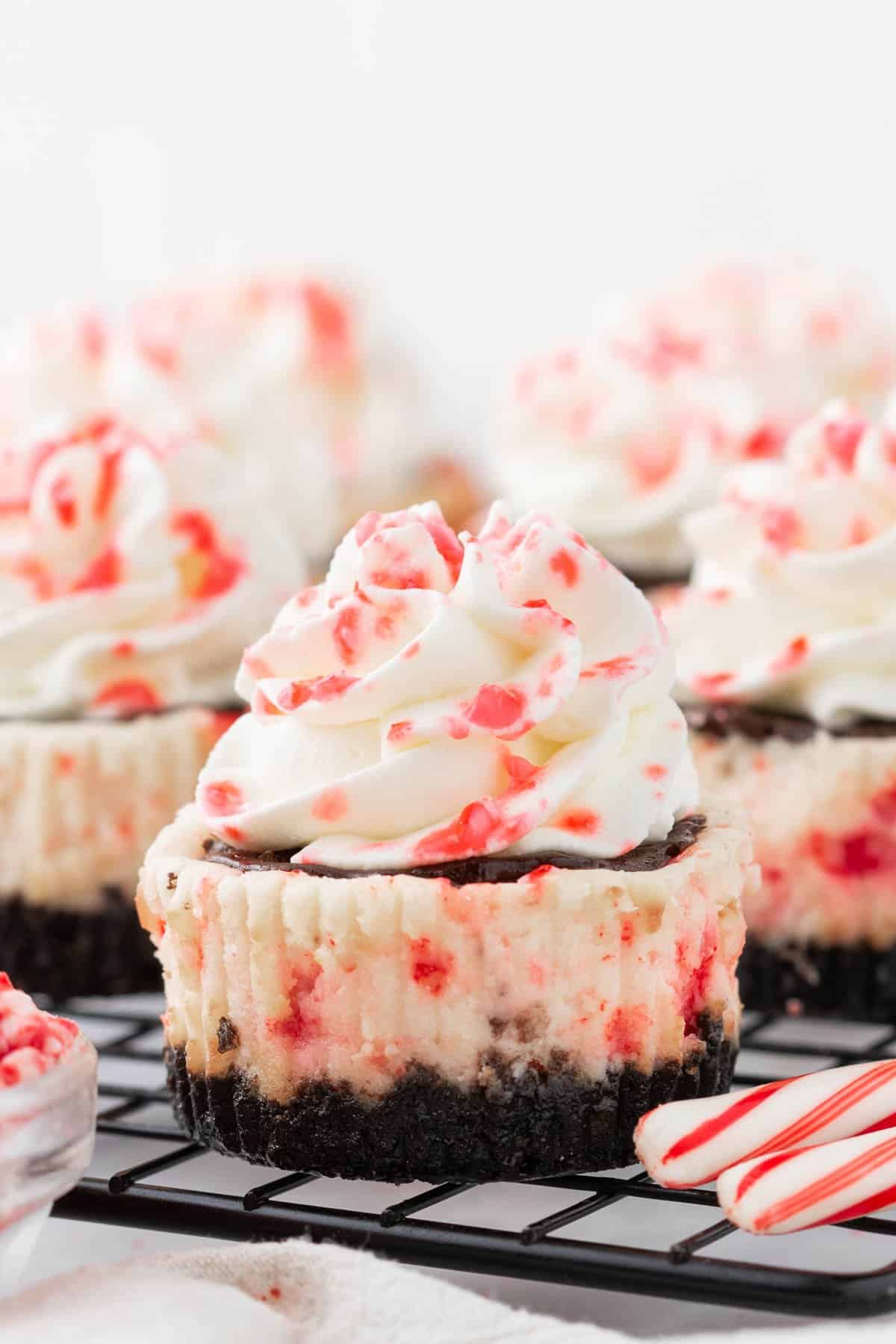 An image of mini white chocolate peppermint cheesecakes.