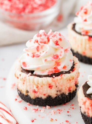Mini white chocolate peppermint cheesecakes with scattered crushed peppermint candies around it.