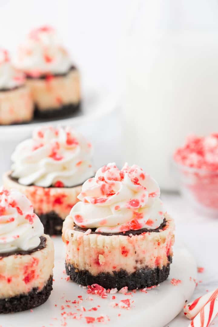 Mini White Chocolate Peppermint Cheesecakes - House of Nash Eats