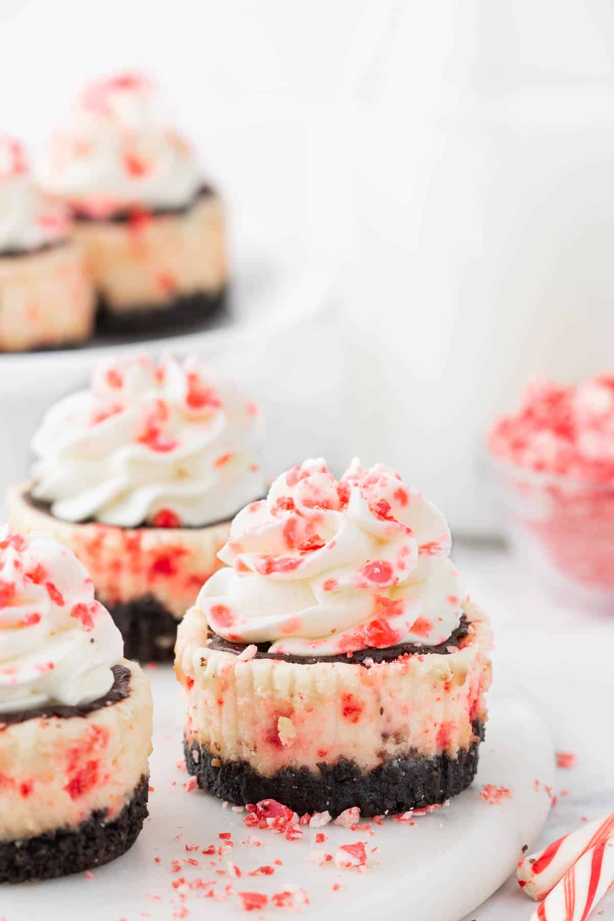 Mini white chocolate peppermint cheesecakes with chocolate ganache and crushed candy canes.