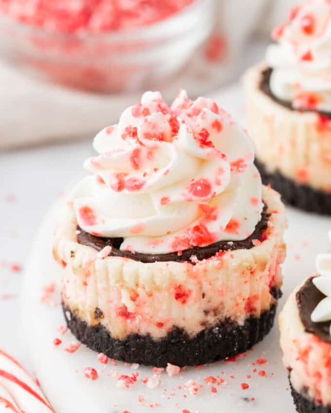 Mini white chocolate peppermint cheesecakes with scattered crushed peppermint candies around it.