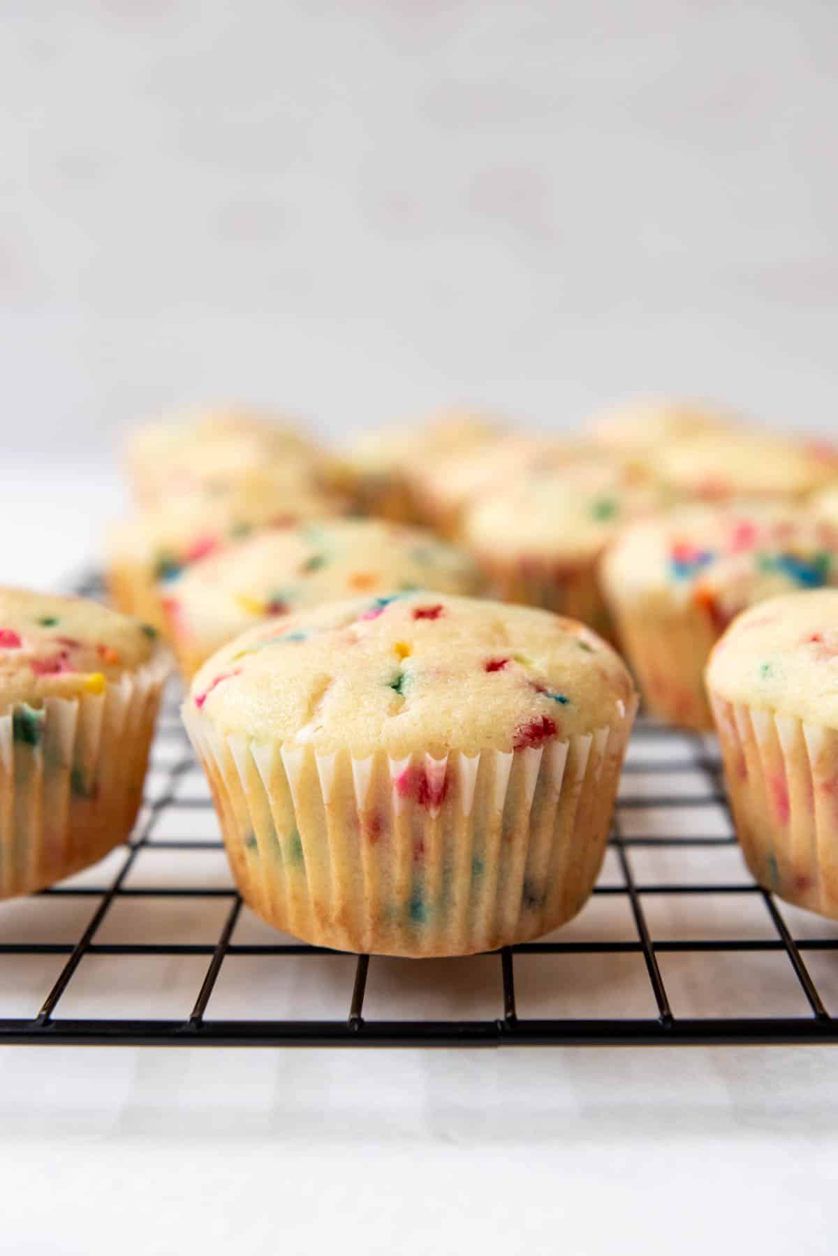 A close image of unfrosted funfetti cupcakes with a slight dome on top.