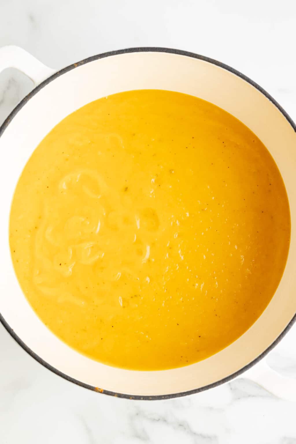 Easy Roasted Butternut Squash Soup House Of Nash Eats 9022