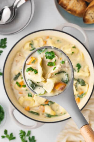 Creamy Chicken Tortellini Soup - House of Nash Eats