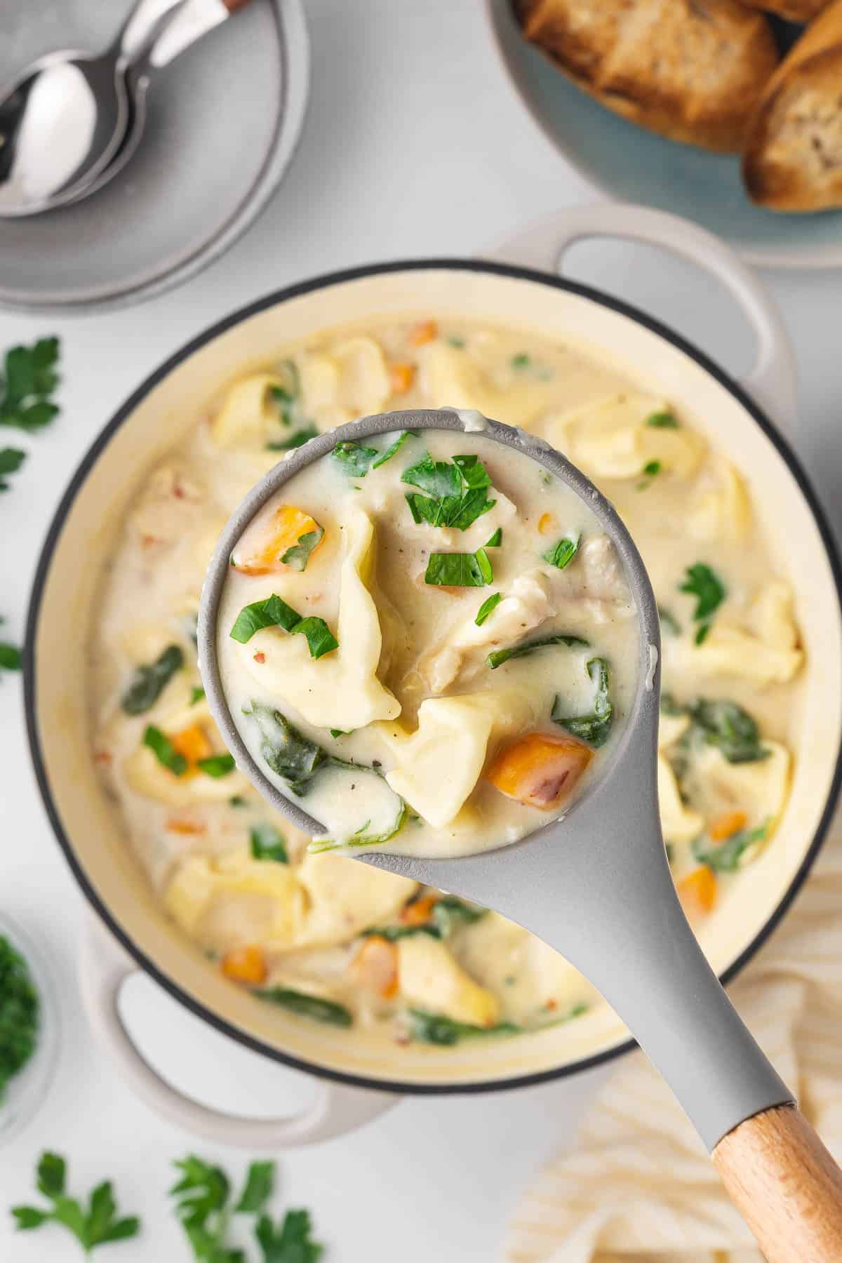 An overhead image of a ladleful of creamy chicken tortellini soup.