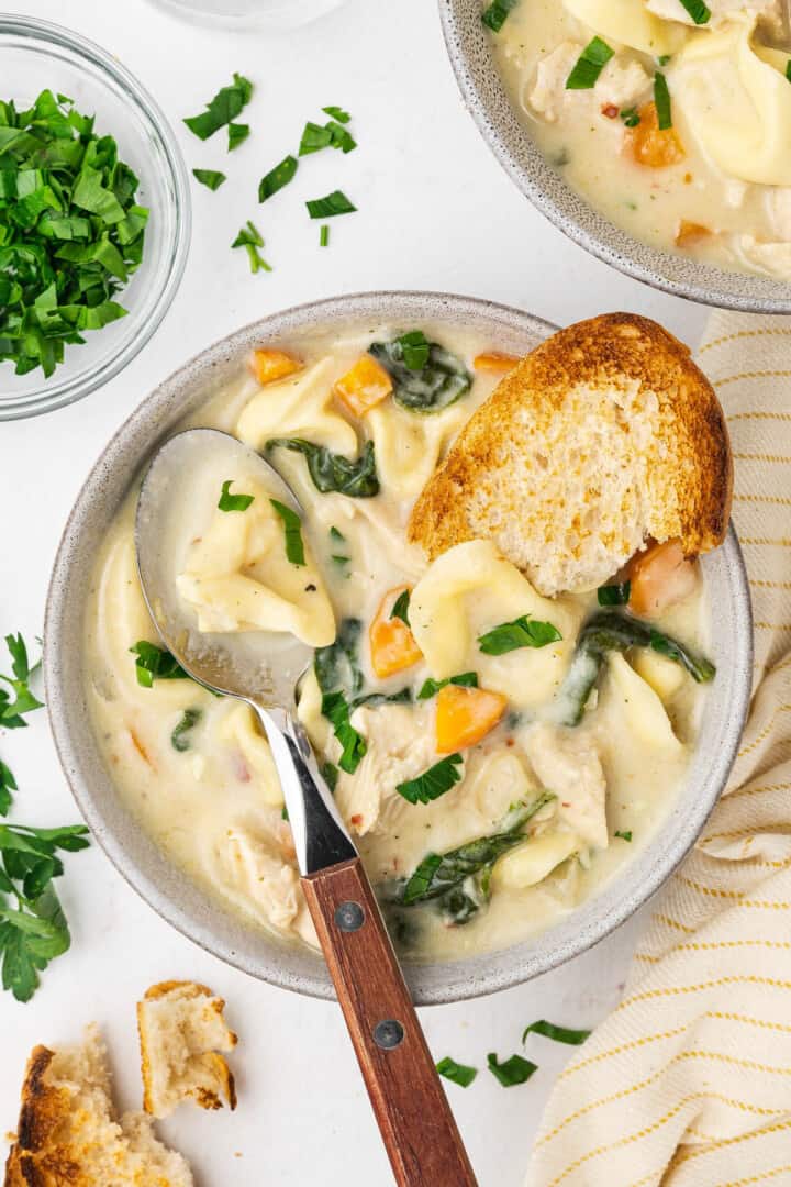 Creamy Chicken Tortellini Soup - House of Nash Eats