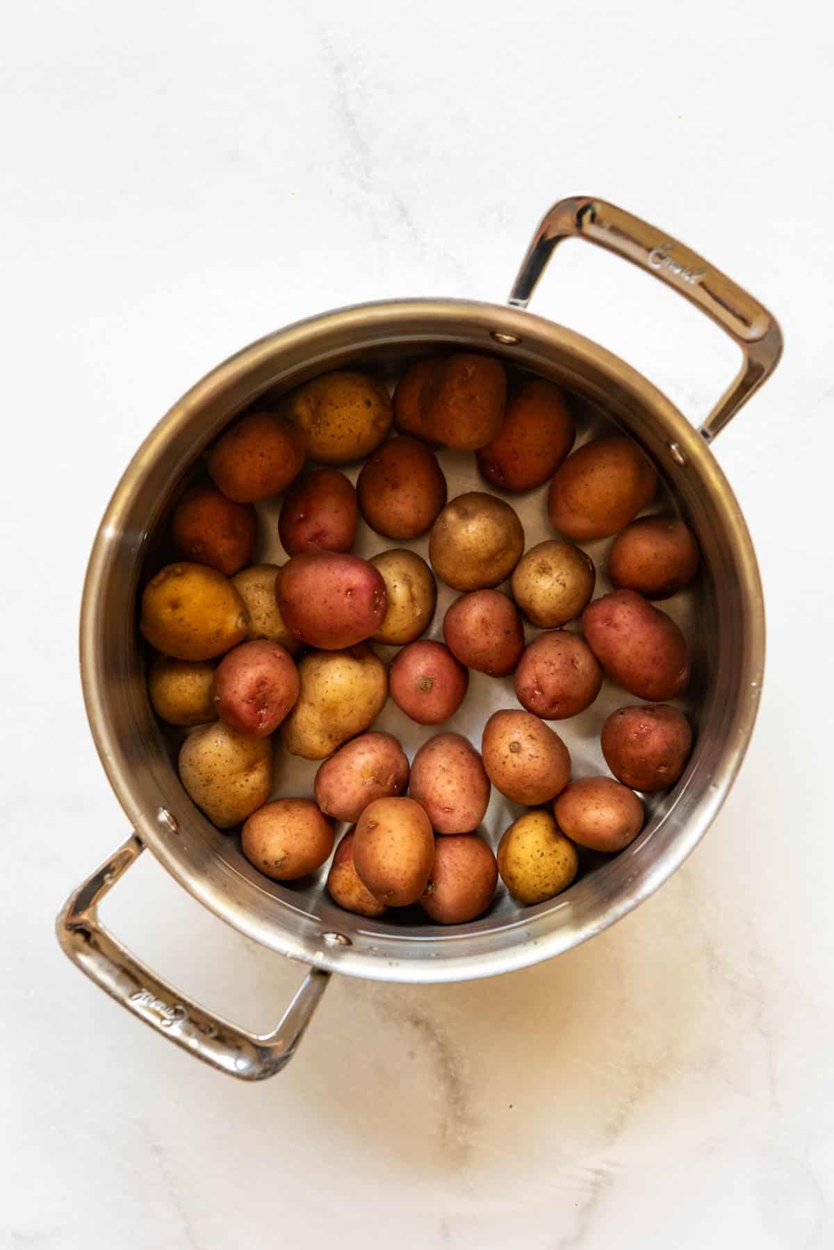 Small new potatoes in a large pot.