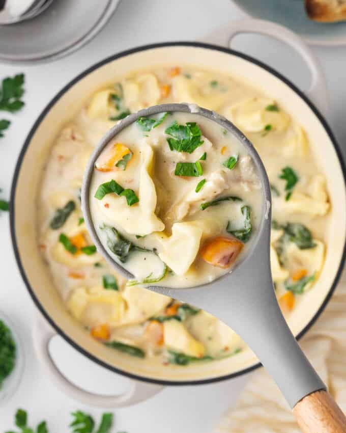 An overhead image of a ladleful of creamy chicken tortellini soup.