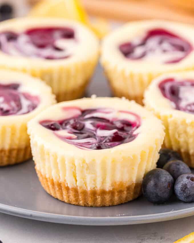 Close up of mini blueberry cheesecakes on a grey plate.