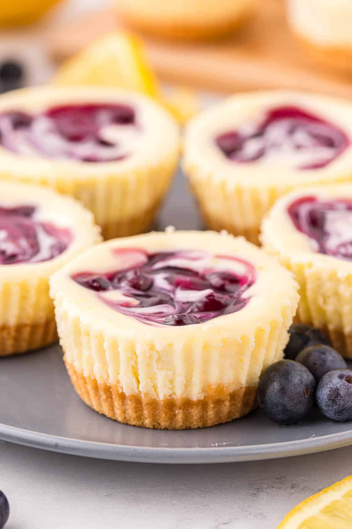 Mini lemon blueberry cheesecakes on a plate.