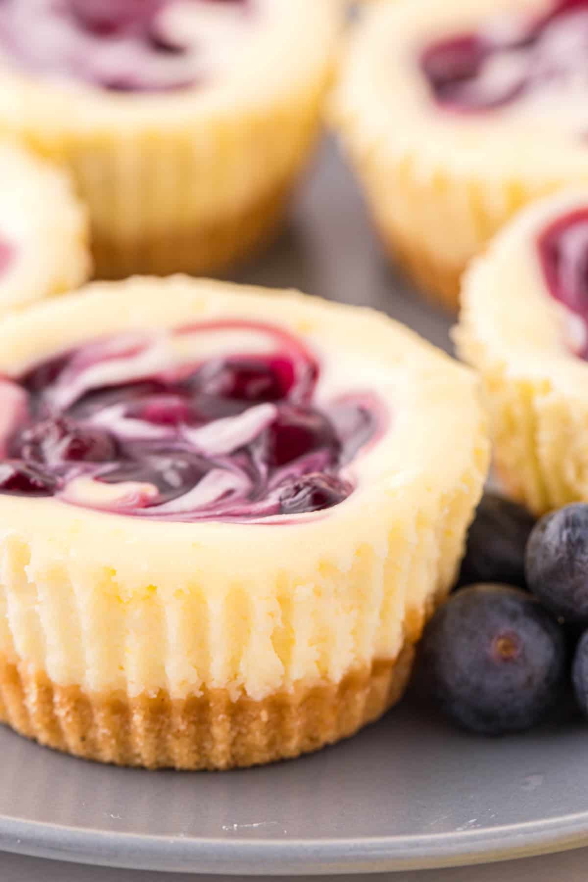 A close image of mini lemon blueberry cheesecakes.