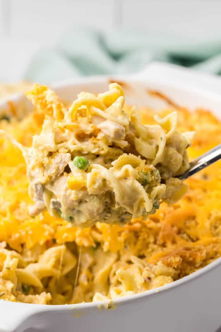 Creamy Chicken Noodle Casserole - House of Nash Eats