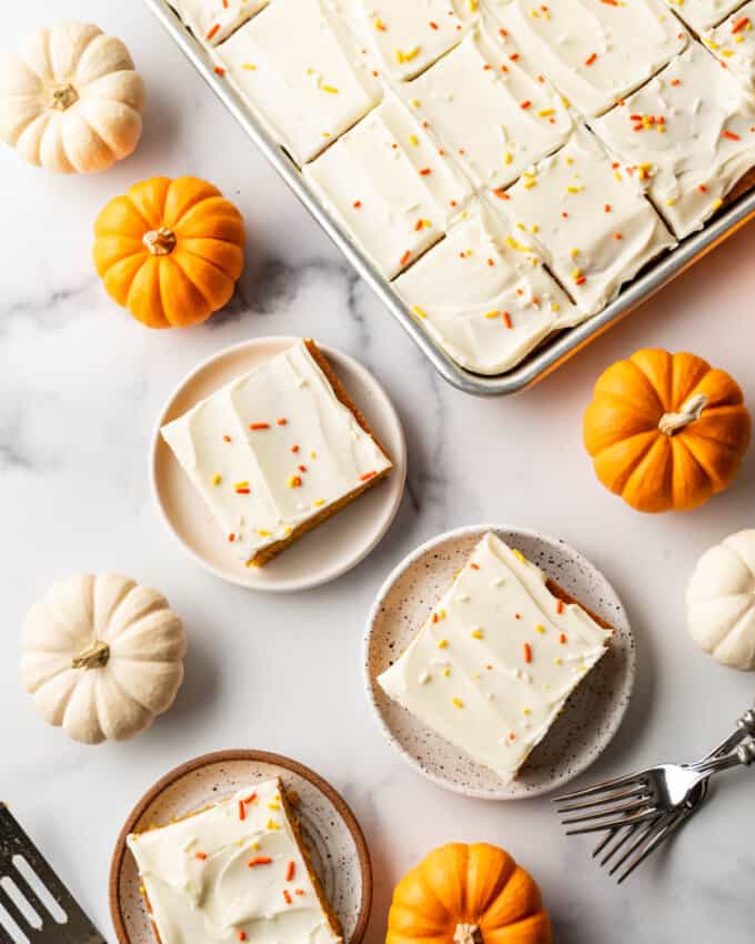 An overhead image of sliced pumpkin bars sitting on plates surrounded by mini pumpkins.