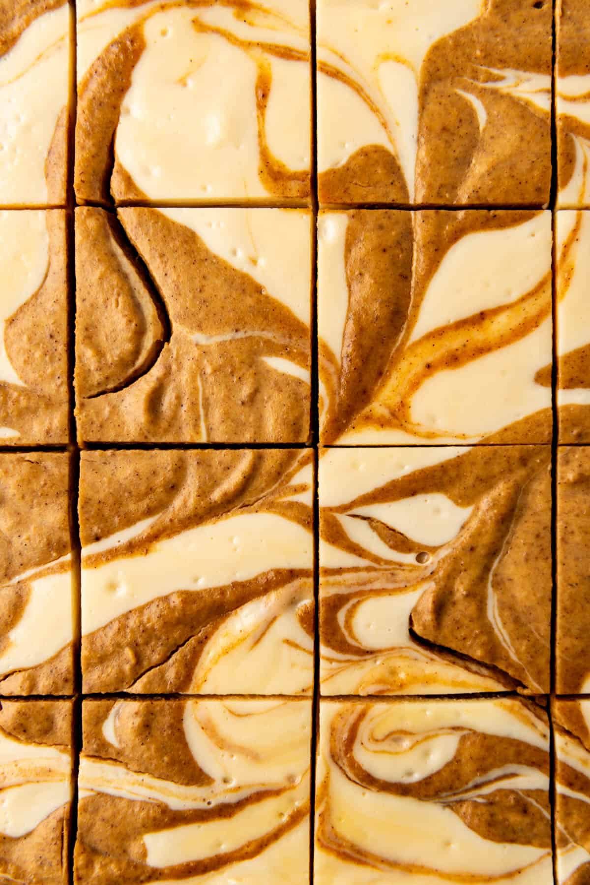 A close up image of pumpkin cheesecake bars cut into squares.