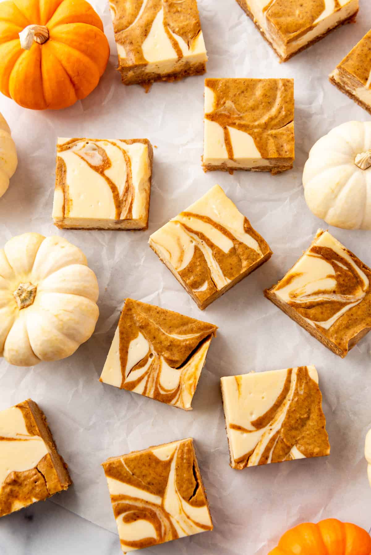 An overhead image of pumpkin cheesecake bars with mini white and orange pumpkins.