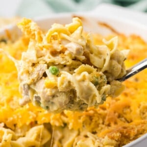 An image of a big scoop of chicken noodle casserole.