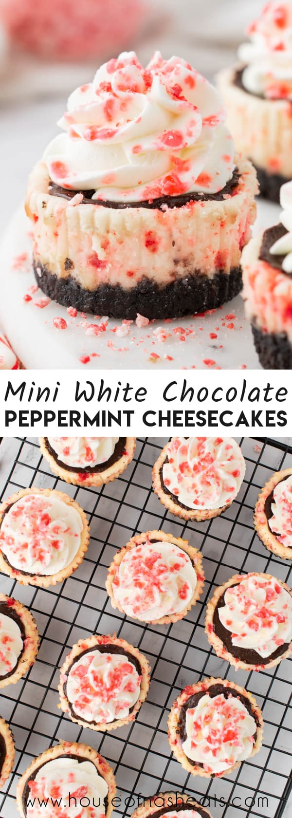 A collage of images of mini white chocolate peppermint cheesecakes with text overlay.