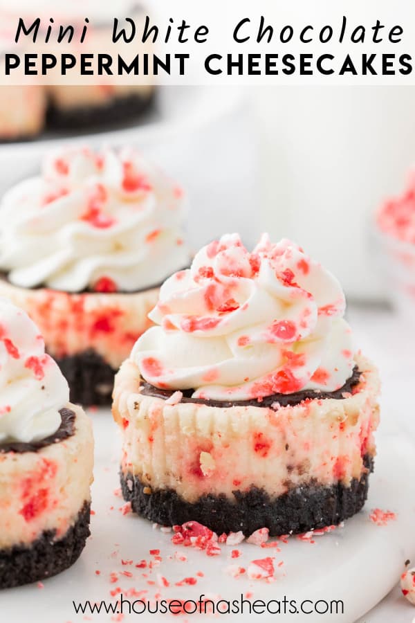 Mini peppermint bark cheesecakes with text overlay.