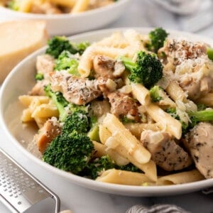 An image of a white pasta bowl filled with chicken broccoli pasta.