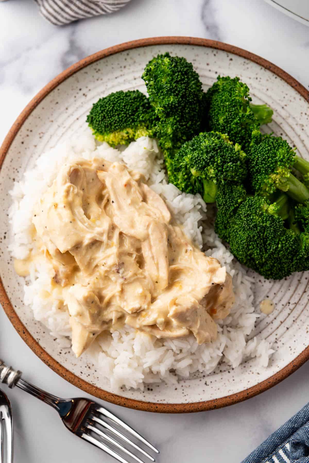 An overhead image of a plate of shredded chicken in a creamy sauce with broccoli and rice.