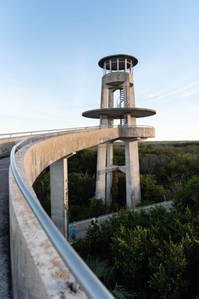 Visiting Shark Valley at Everglades National Park - House of Nash Eats