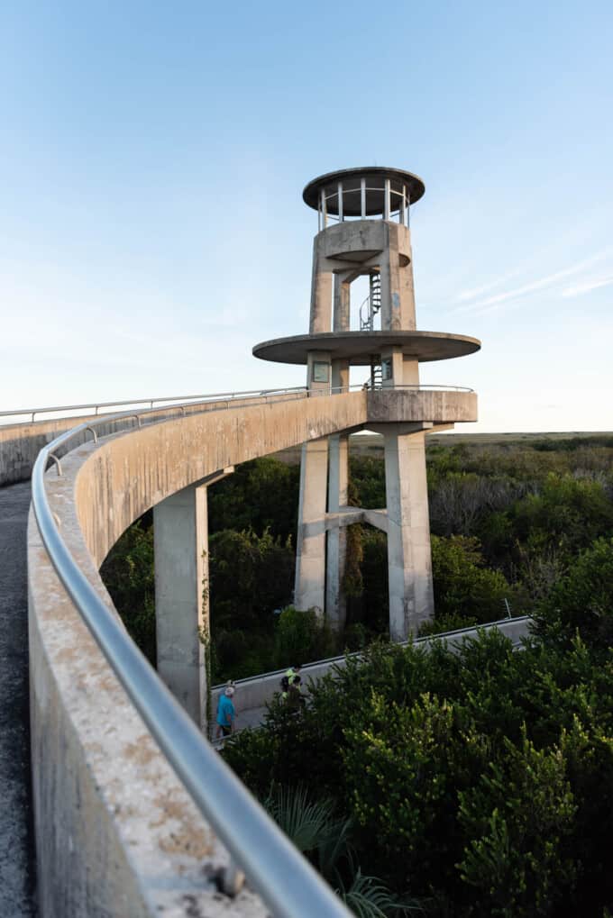 The observation tower in Everglades National Park.