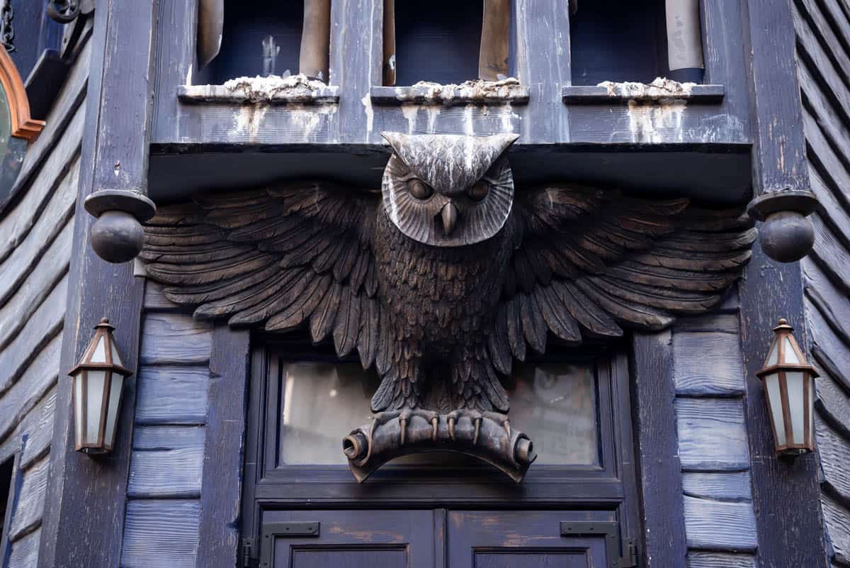 A detailed image of an owl at the owl emporium at Harry Potter World.