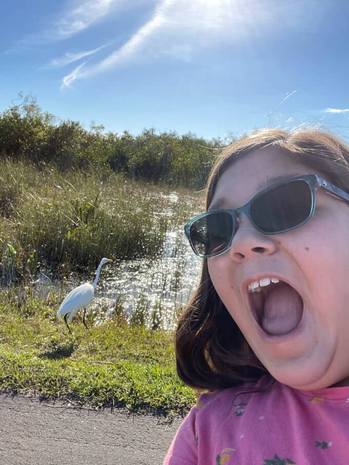 A child posing in front of a great egret in Everglades National Park.