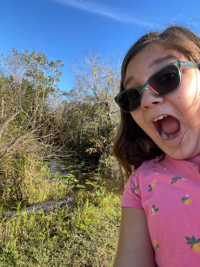 A child posing in front of an alligator in Everglades National Park.