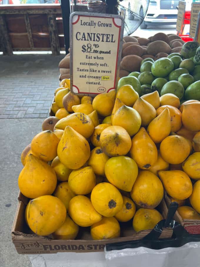 An image of canistel fruit.