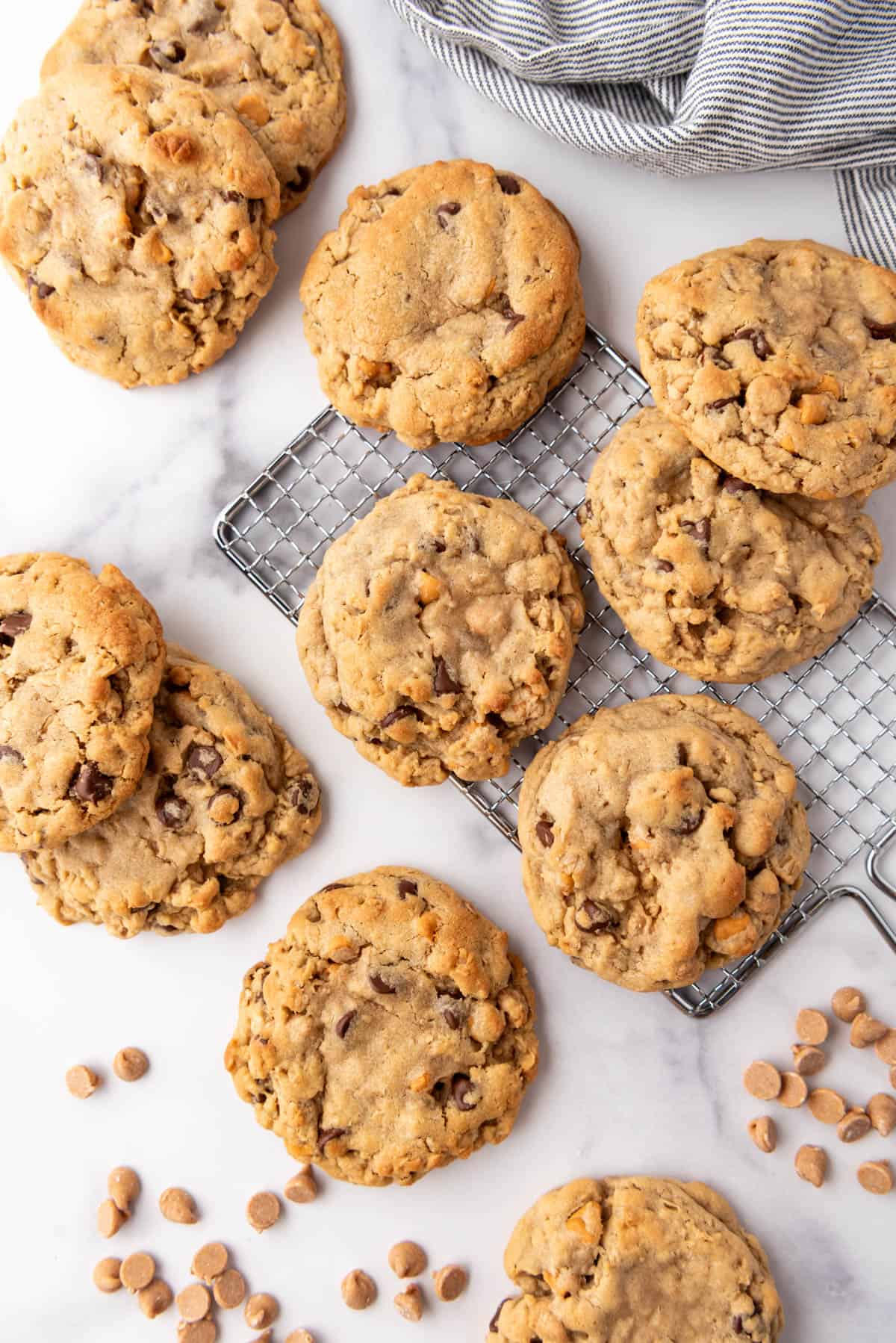 Thick peanut butter oatmeal butterscotch cookies with peanut butter chips scattered around.