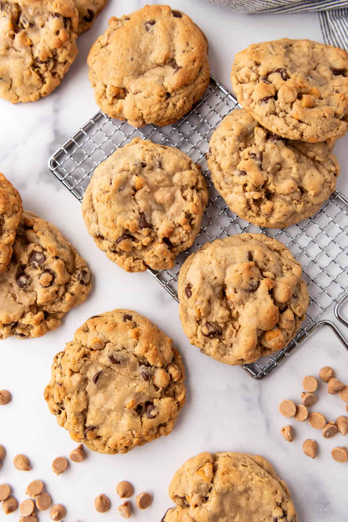 An overhead image of peanut butter oatmeal butterscotch chocolate chip cookies with peanut butter chips scattered around.