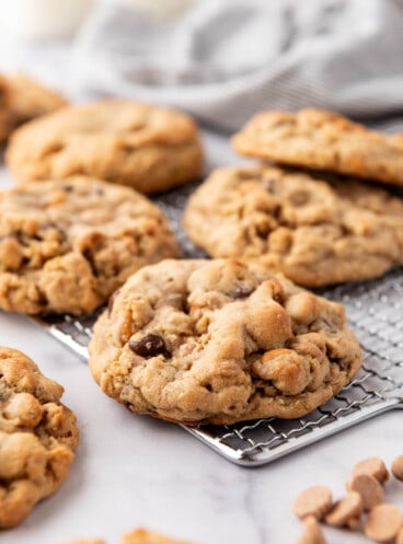 An image of thick peanut butter oatmeal butterscotch chocolate chip cookies on a wire rack.