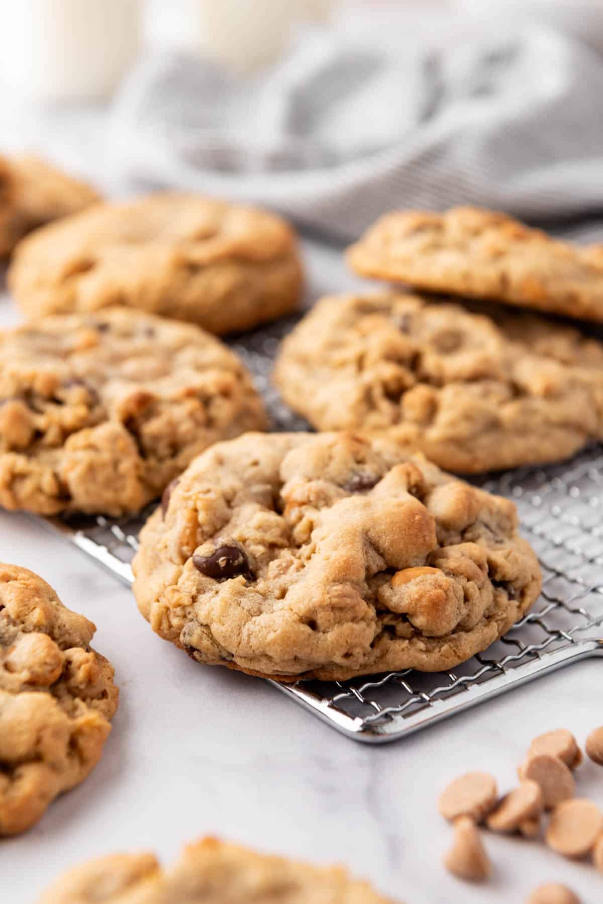 An image of thick peanut butter oatmeal butterscotch chocolate chip cookies on a wire rack.