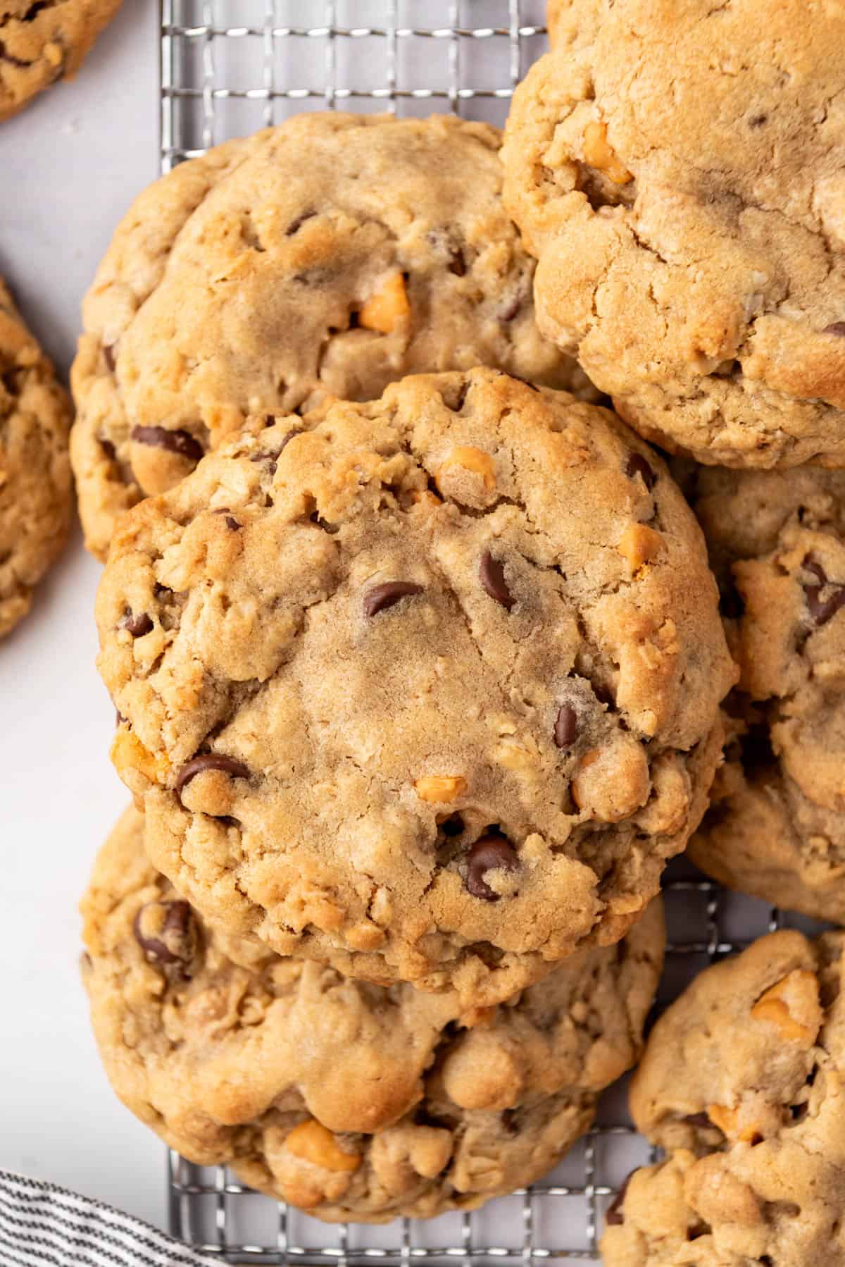 A close-up image of big, thick peanut butter oatmeal cookies with butterscotch and chocolate chips.