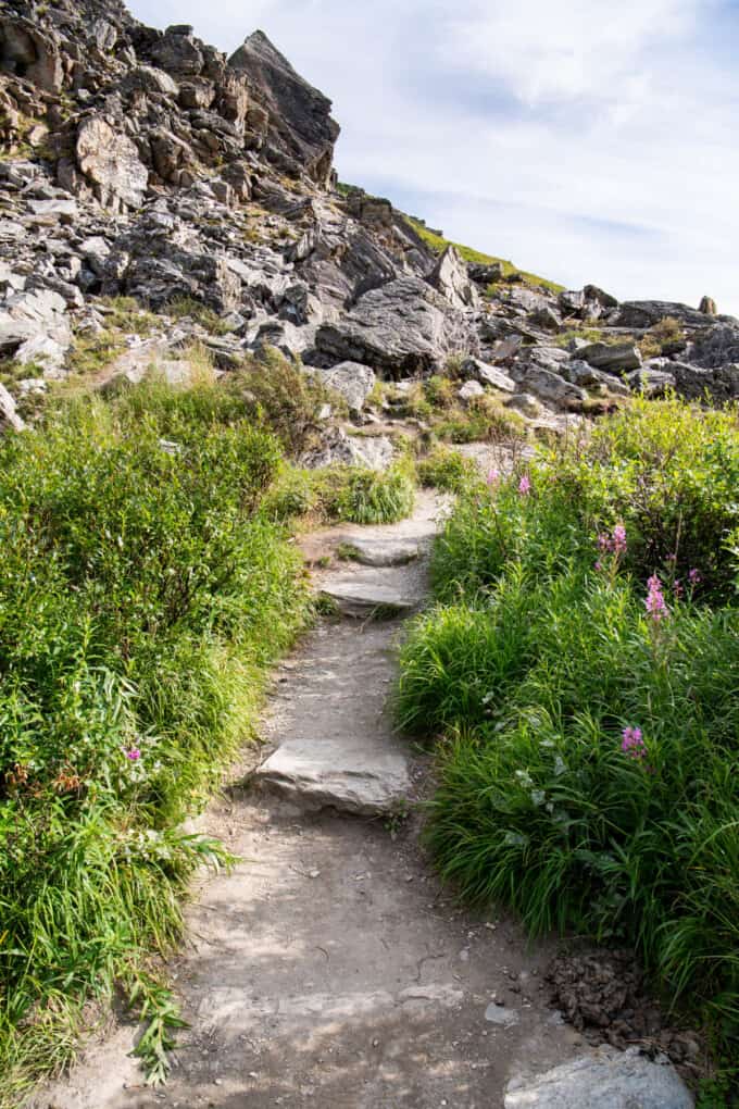 An image of rocky steps on the Savage River Loop Trail in Denali National Park.