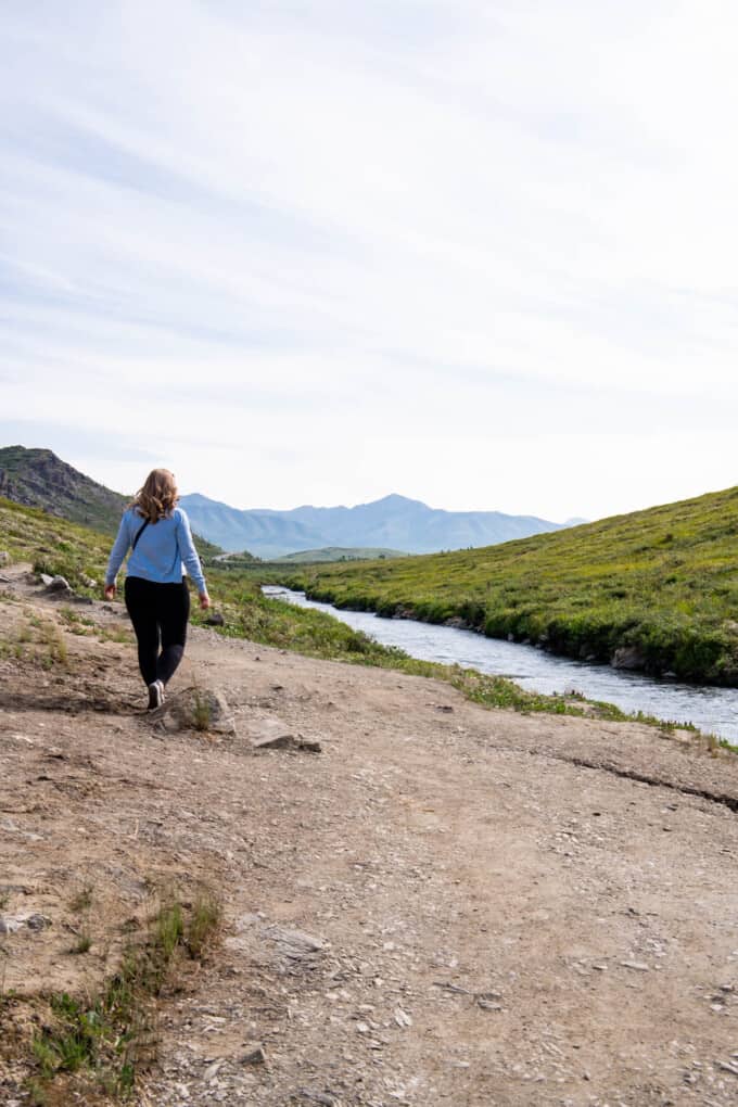 An image of a woman hiking along the Savage River Trail in Denali National Park.