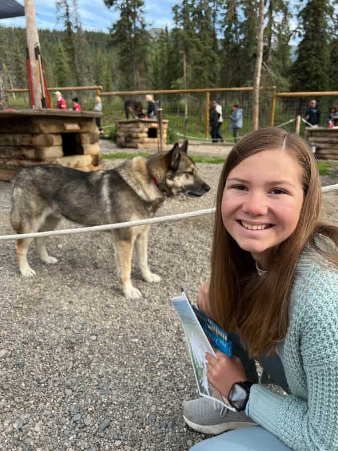 A girl in front of a sled dog at the kennels in Denali National Park.