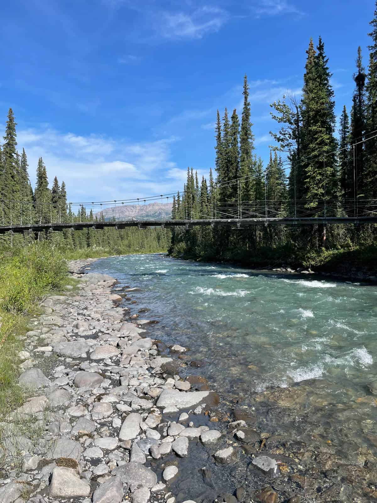 An image of a suspension bridge over a river in Denali National Park.