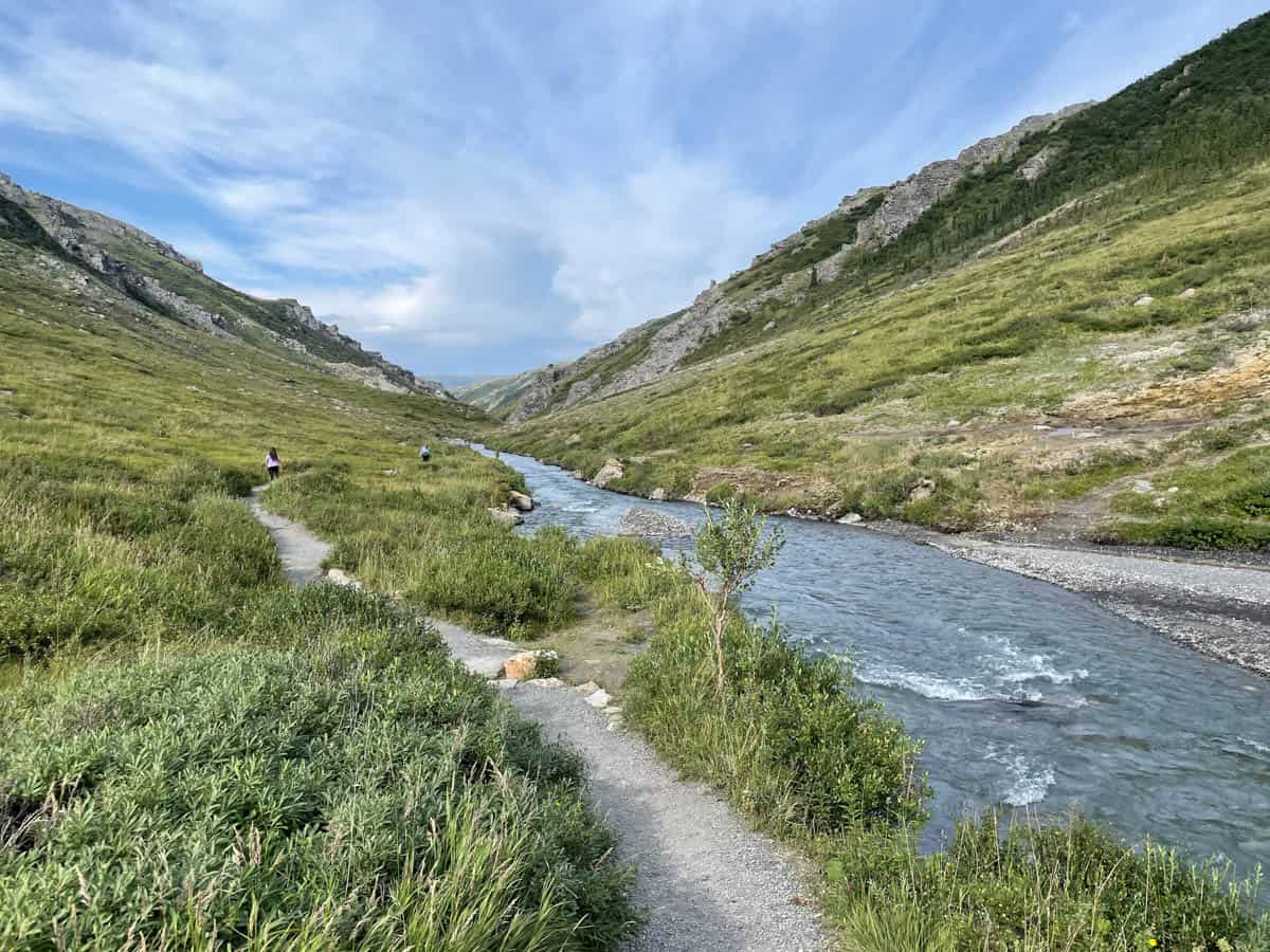 An image of the Savage River Loop Trail in Denali national Park.
