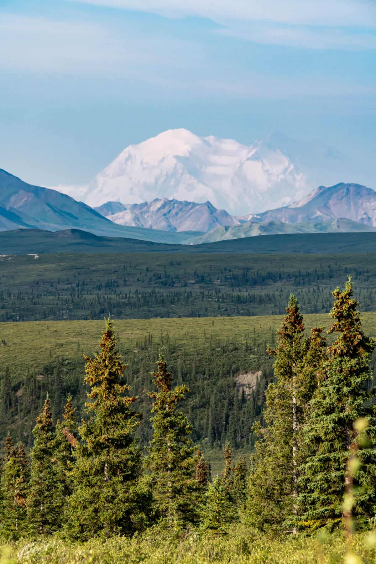 A view of snow covered mountain peaks in Denali National Park.