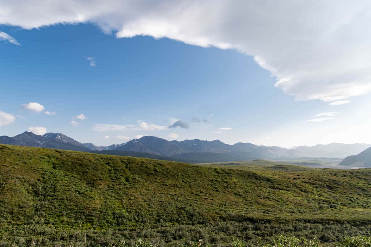 A scenic view of the landscape in Denali National Park.