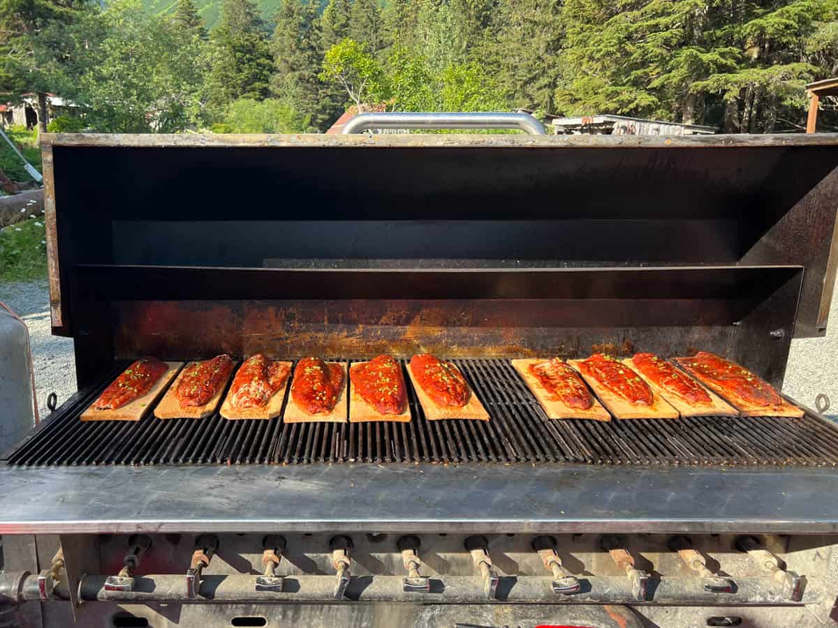 Salmon on cedar planks on a grill.