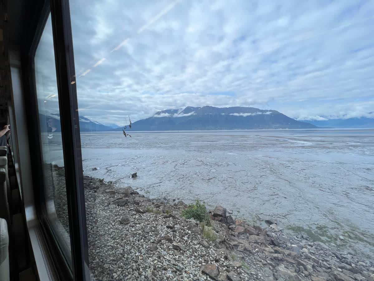 A view of mud flats in Alaska from a train window.