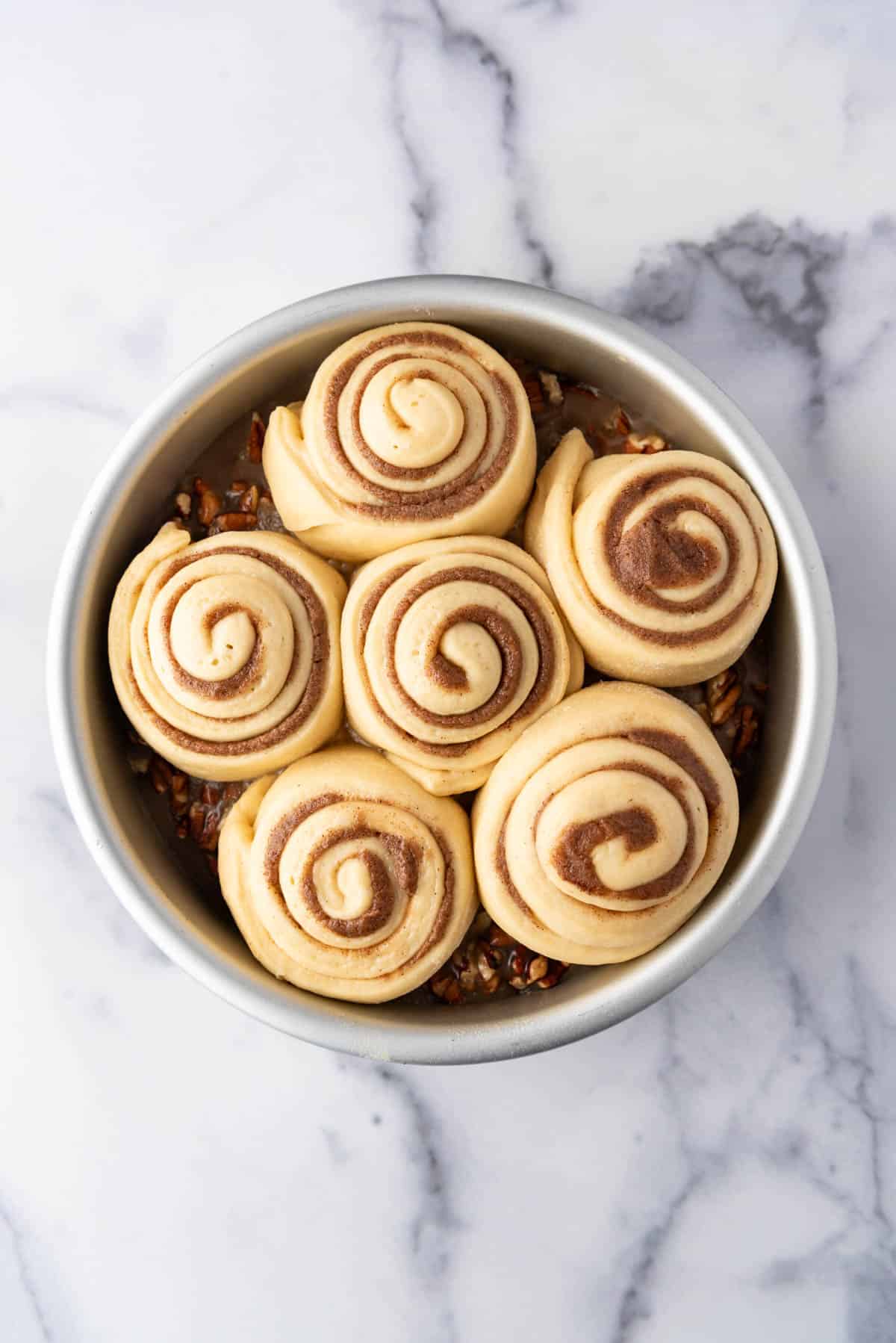 An overhead image of sticky bun dough rolled up in the pan.