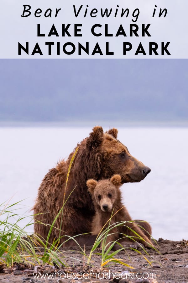 A mother bear and cubs with text overlay.