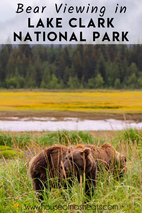 An image of bears in Alaska with text overlay.