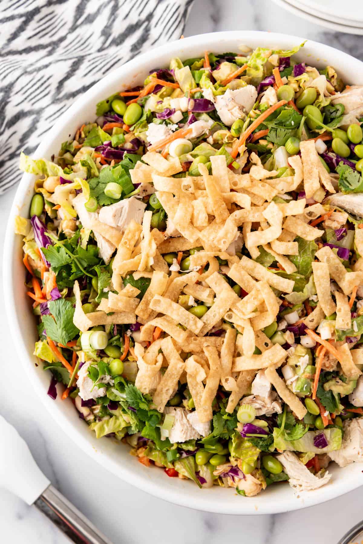 An overhead image of a large bowl of Thai chicken salad with crispy wonton strips sprinkled on top.